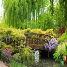 Tranh dán tường cho phòng khách đẹp tại Hà Nội NA - 231